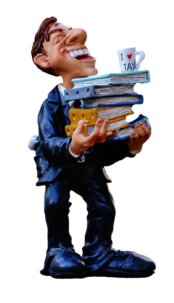 tax consultant, finance, tax office, country, income tax return, files, tax return, money, taxes, fun, funny, tax return, money, taxes, taxes, taxes, taxes, taxes